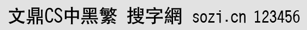文鼎CS中黑繁