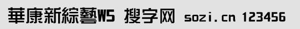 華康新綜藝體W5