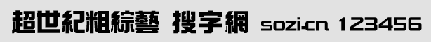 超世紀(jì)粗綜藝