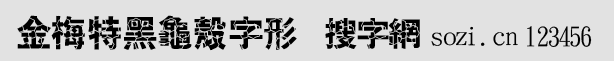 金梅特黑龜殼字形