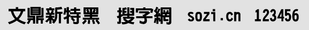 文鼎新特黑