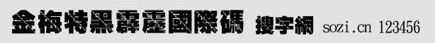金梅特黑霹靂國際碼