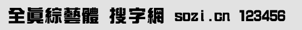 全真中綜藝體