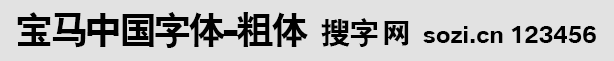 寶馬中國粗體