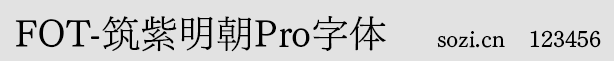 筑紫明朝體細(xì)加粗體(FOT-Tsuk
