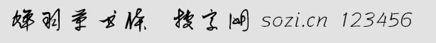 sݕ(sh)w