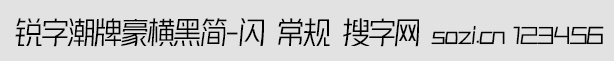 銳字潮牌豪橫黑簡-閃 常規(guī)