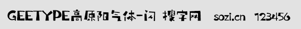 GEETYPE高原陽氣體-閃