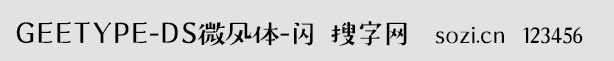 GEETYPE-DS微風體-閃