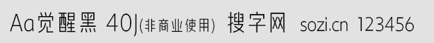 Aa覺醒黑 40J