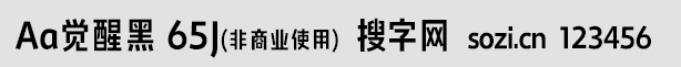 Aa覺醒黑 65J