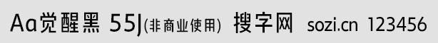 Aa覺醒黑 55J
