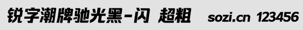銳字潮牌馳光黑-閃 超粗