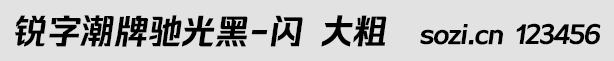 銳字潮牌馳光黑-閃 大粗