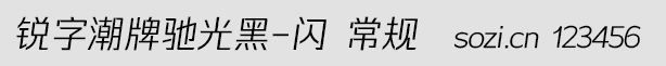 銳字潮牌馳光黑-閃 常規(guī)