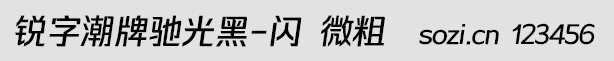 銳字潮牌馳光黑-閃 微粗