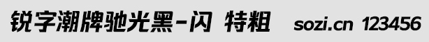 銳字潮牌馳光黑-閃 特粗