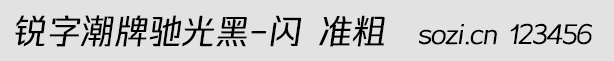 銳字潮牌馳光黑-閃 準(zhǔn)粗