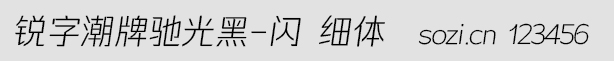 銳字潮牌馳光黑-閃 細(xì)體