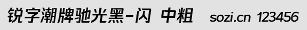 銳字潮牌馳光黑-閃 中粗
