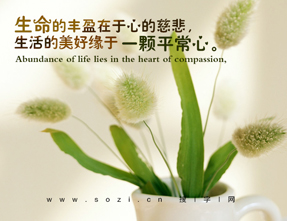 Sӯĵ
